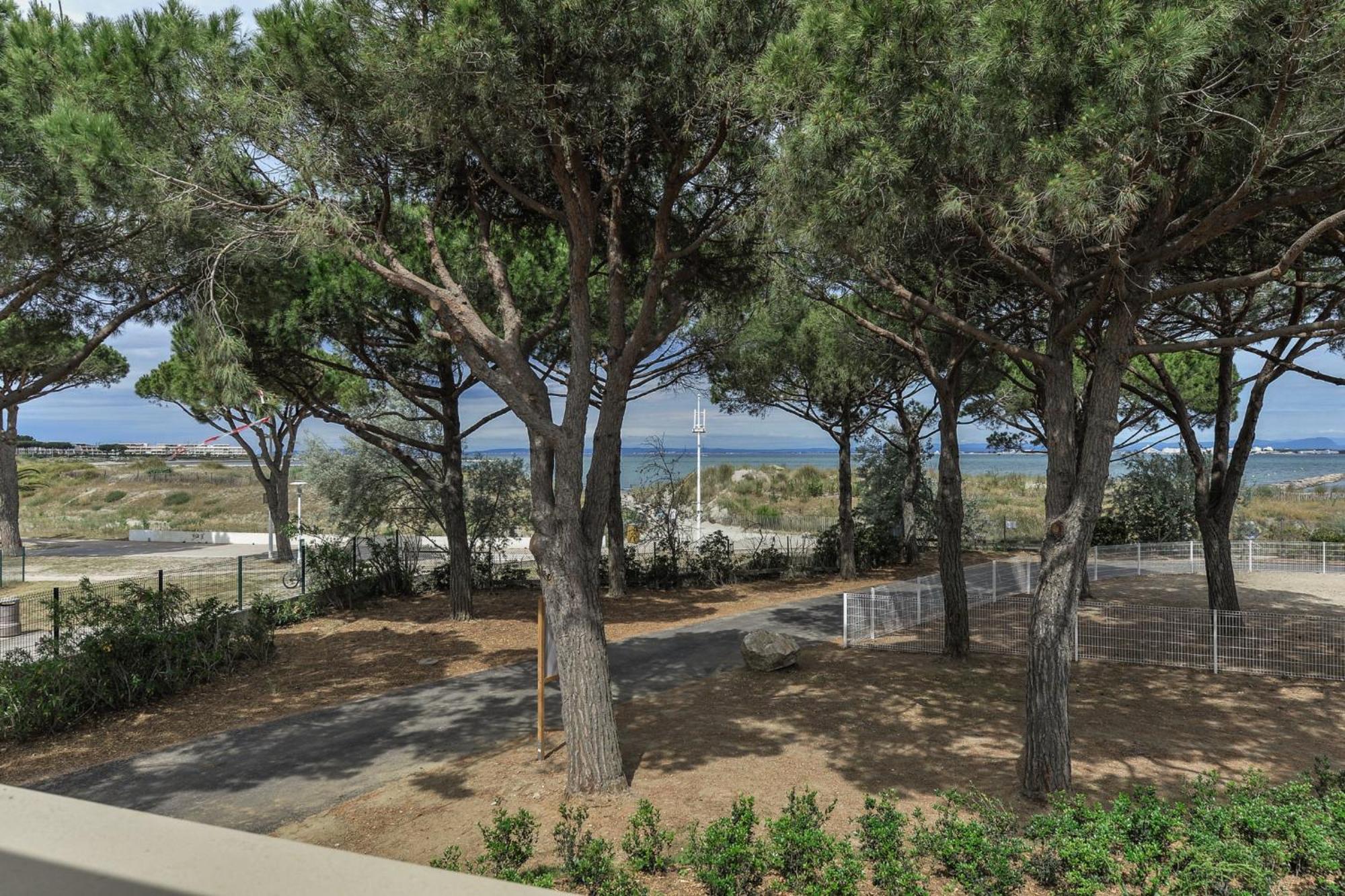 Отель Belambra Clubs Port Camargue - Les Salins Ле-Гро-дю-Руа Номер фото